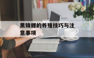 黑锦鲤的养殖技巧与注意事项