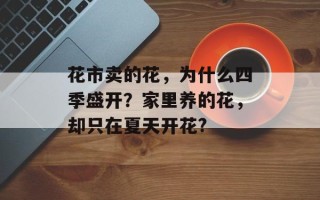 花市卖的花，为什么四季盛开？家里养的花，却只在夏天开花?