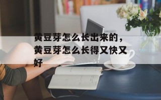 黄豆芽怎么长出来的，黄豆芽怎么长得又快又好