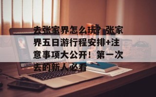 去张家界怎么玩？张家界五日游行程安排+注意事项大公开！第一次去的新人必看