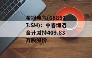 金冠电气(688517.SH)：中睿博远合计减持409.83万股股份
