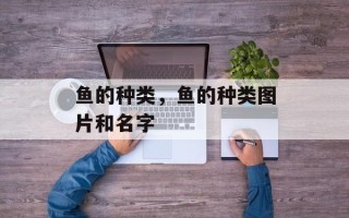 鱼的种类，鱼的种类图片和名字