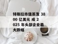 特斯拉市值蒸发 3800 亿美元 成 2025 年头部企业最大跌幅