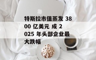 特斯拉市值蒸发 3800 亿美元 成 2025 年头部企业最大跌幅
