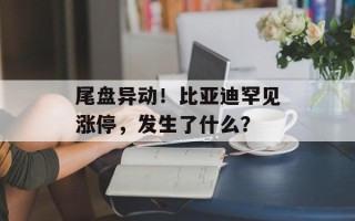 尾盘异动！比亚迪罕见涨停，发生了什么？