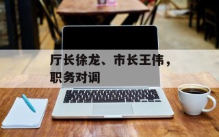 厅长徐龙、市长王伟，职务对调