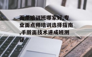 面条培训班哪家好,专业面点师培训选择指南,手擀面技术速成班测评