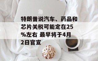特朗普说汽车、药品和芯片关税可能定在25%左右 最早将于4月2日官宣