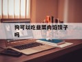 狗可以吃韭菜肉馅饺子吗