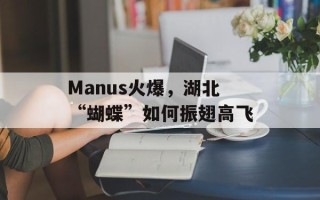 Manus火爆，湖北“蝴蝶”如何振翅高飞