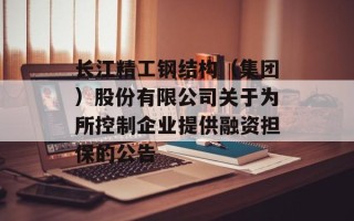 长江精工钢结构（集团）股份有限公司关于为所控制企业提供融资担保的公告