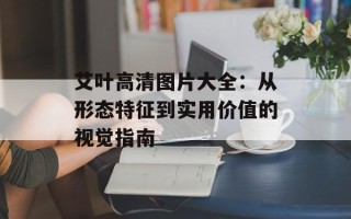 艾叶高清图片大全：从形态特征到实用价值的视觉指南