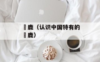 黇鹿（认识中国特有的黇鹿）