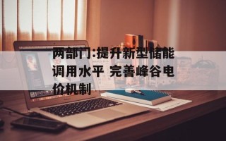 两部门:提升新型储能调用水平 完善峰谷电价机制