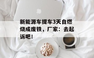 新能源车提车3天自燃烧成废铁，厂家：去起诉吧！