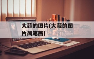 大蒜的图片(大蒜的图片简笔画)