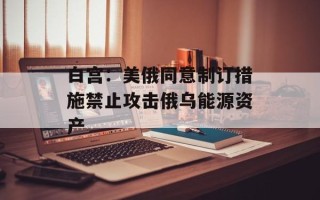 白宫：美俄同意制订措施禁止攻击俄乌能源资产