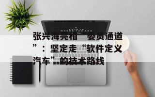 张兴海亮相“委员通道”：坚定走“软件定义汽车”的技术路线