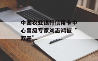 中国农业银行信用卡中心高级专家刘志鸿被“双开”
