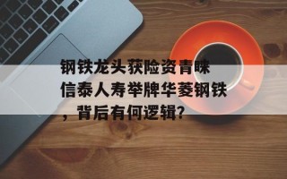 钢铁龙头获险资青睐 信泰人寿举牌华菱钢铁，背后有何逻辑？