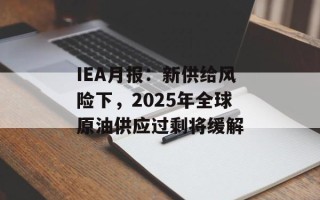 IEA月报：新供给风险下，2025年全球原油供应过剩将缓解