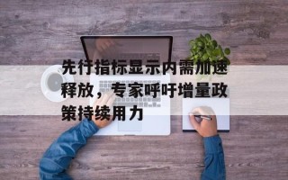 先行指标显示内需加速释放，专家呼吁增量政策持续用力