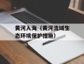 黄河入海（黄河流域生态环境保护措施）