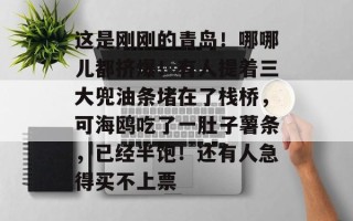 这是刚刚的青岛！哪哪儿都挤爆！有人提着三大兜油条堵在了栈桥，可海鸥吃了一肚子薯条，已经半饱！还有人急得买不上票