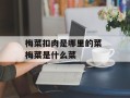 梅菜扣肉是哪里的菜 梅菜是什么菜