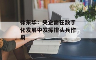 徐东华：央企需在数字化发展中发挥排头兵作用