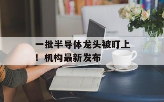 一批半导体龙头被盯上！机构最新发布