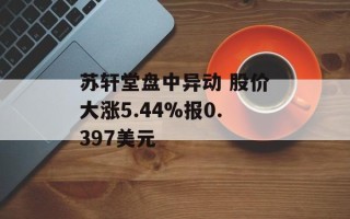 苏轩堂盘中异动 股价大涨5.44%报0.397美元