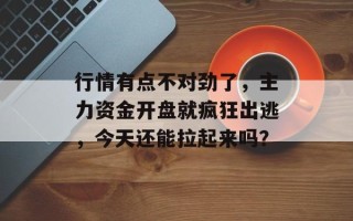行情有点不对劲了，主力资金开盘就疯狂出逃，今天还能拉起来吗？