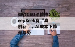 微软CEO纳德拉：DeepSeek有“真创新”，AI成本下降是趋势