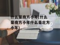 什么是南方小年(什么是南方小年什么是北方小年)