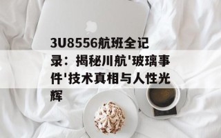 3U8556航班全记录：揭秘川航'玻璃事件'技术真相与人性光辉