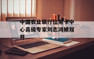 中国农业银行信用卡中心高级专家刘志鸿被双开