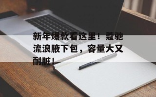 新年爆款看这里！蔻驰流浪腋下包，容量大又耐脏！