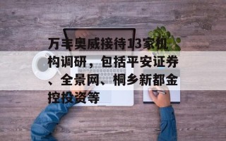 万丰奥威接待13家机构调研，包括平安证券、全景网、桐乡新都金控投资等