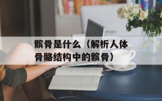 髌骨是什么（解析人体骨骼结构中的髌骨）