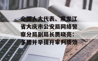 全国人大代表、黑龙江省大庆市公安局网络警察分局副局长贾晓亮：多措并举提升审判质效