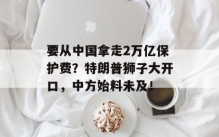 要从中国拿走2万亿保护费？特朗普狮子大开口，中方始料未及！