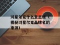 鸿星尔克什么意思梗（揭秘鸿星尔克品牌名的来源）