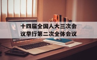 十四届全国人大三次会议举行第二次全体会议