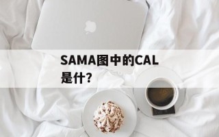 SAMA图中的CAL是什？