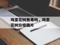 鸡蛋花树有毒吗，鸡蛋花树价格图片