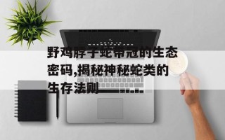 野鸡脖子蛇带冠的生态密码,揭秘神秘蛇类的生存法则