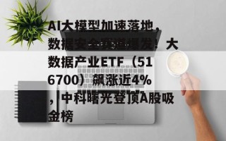 AI大模型加速落地，数据安全赛道爆发！大数据产业ETF（516700）飙涨近4%，中科曙光登顶A股吸金榜