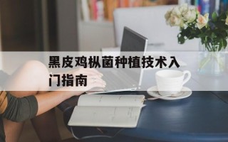 黑皮鸡枞菌种植技术入门指南