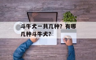 斗牛犬一共几种？有哪几种斗牛犬？